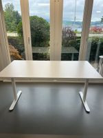 Bürotisch 1600x800