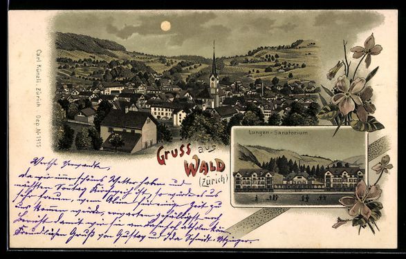 Cartes postales: Litho Wald, Lugen-Sanatorium und Panoram – D'occasion à Berlin par bartko-reher