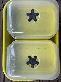 Pots de fleurs: elho green basics Anzuchthaus – D'occasion à Unterengstringen par bar_rh5f