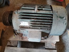 Elektromotor zu Schneckenpumpe 