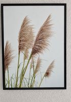 Wandbild mit Pampasgras Motiv