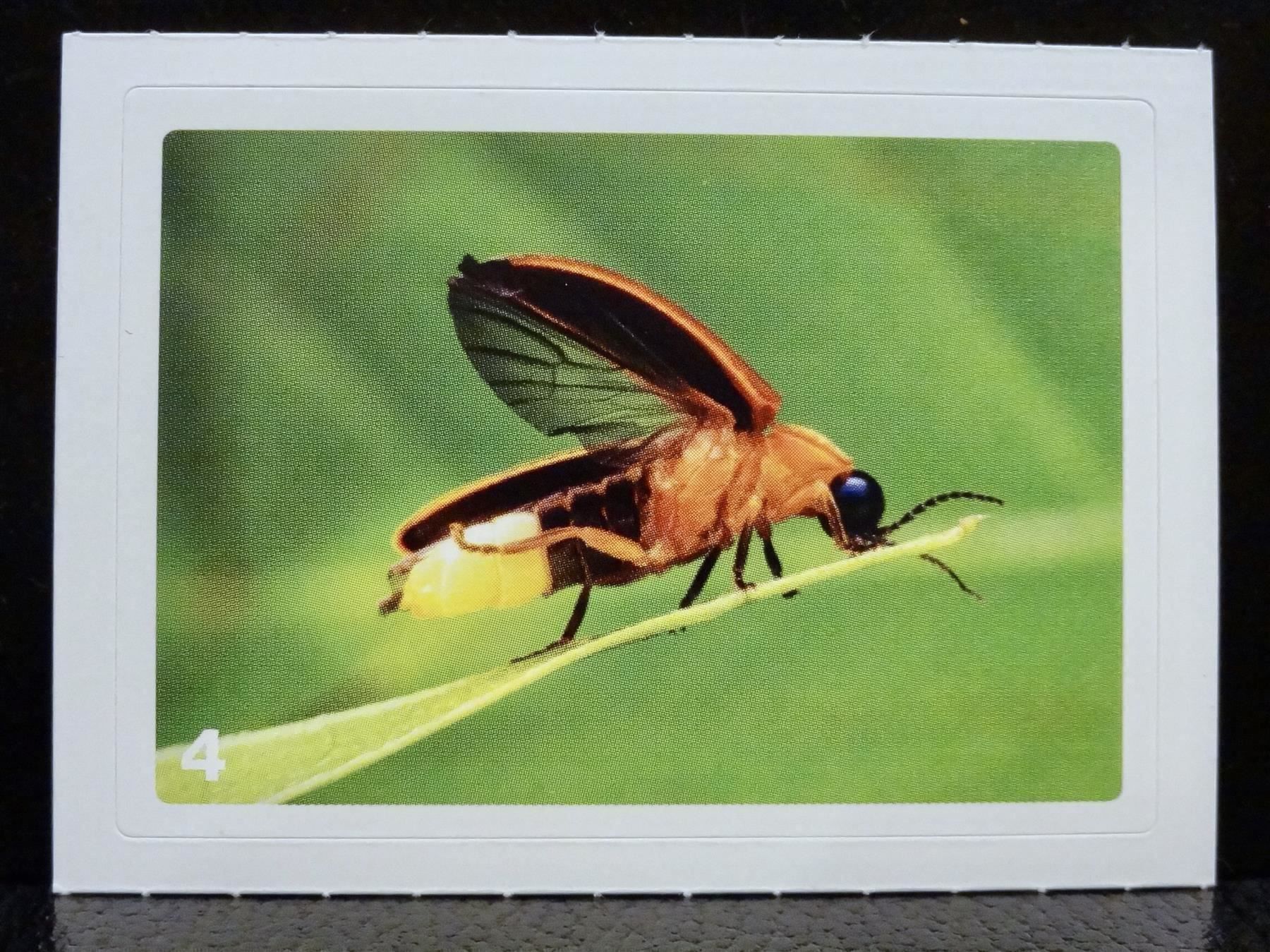 Migros Carte collezionabili: MIGROS MANIA Nature Detectives Nr. 4 – Usato da Kerzers venduto da zimmergruen