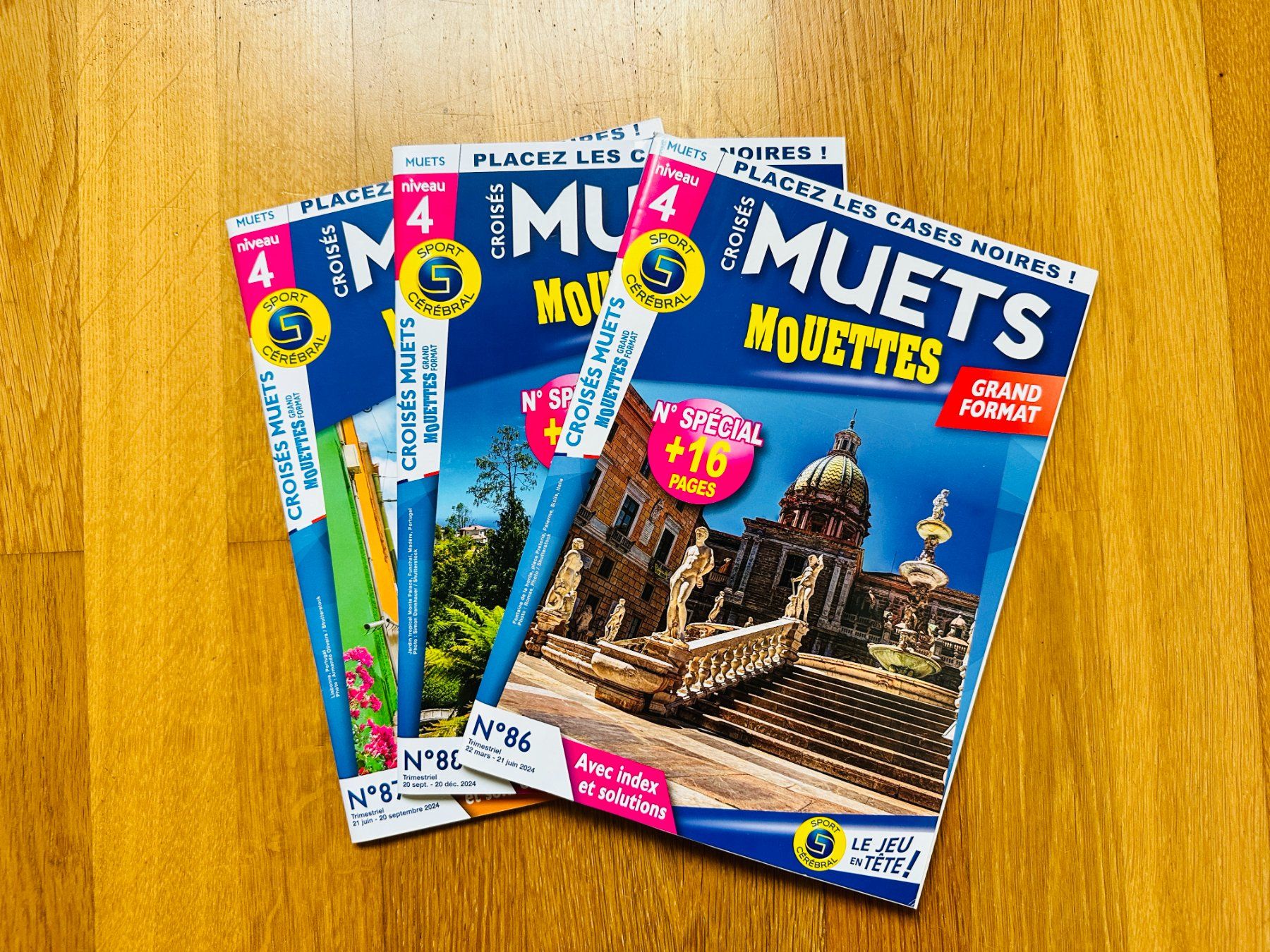 Bücher: Mots Croisés Muets Mouettes grand format – Neu (gemäss Beschreibung) aus Bern von orgalorg