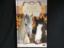 Buch „WEGE DES SCHICKSALS“ lesealter etwa 10 Jahre