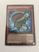 Raubpflanze Spinovenusfliegenfalle FUEN-DE004 1. Auflage