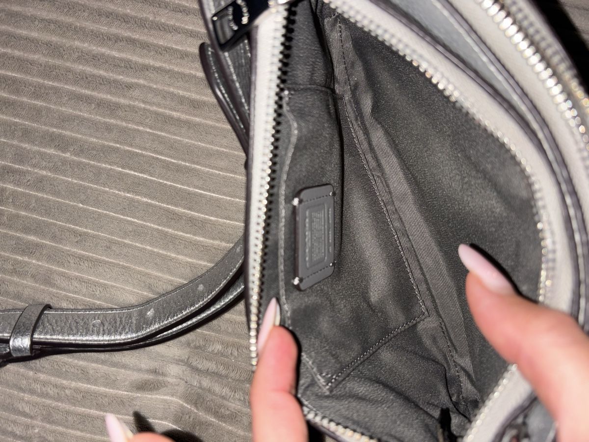 Coach Taschen für Damen: Coach Tasche silber Leder NEU – Neu (gemäss Beschreibung) aus Zollikofen von s_albi 3