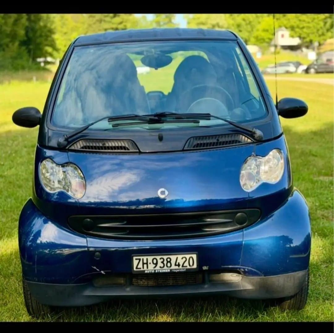 Smart Automobili: Frisch ab Mfk – Usato da Kriens venduto da bel_f7c8 5