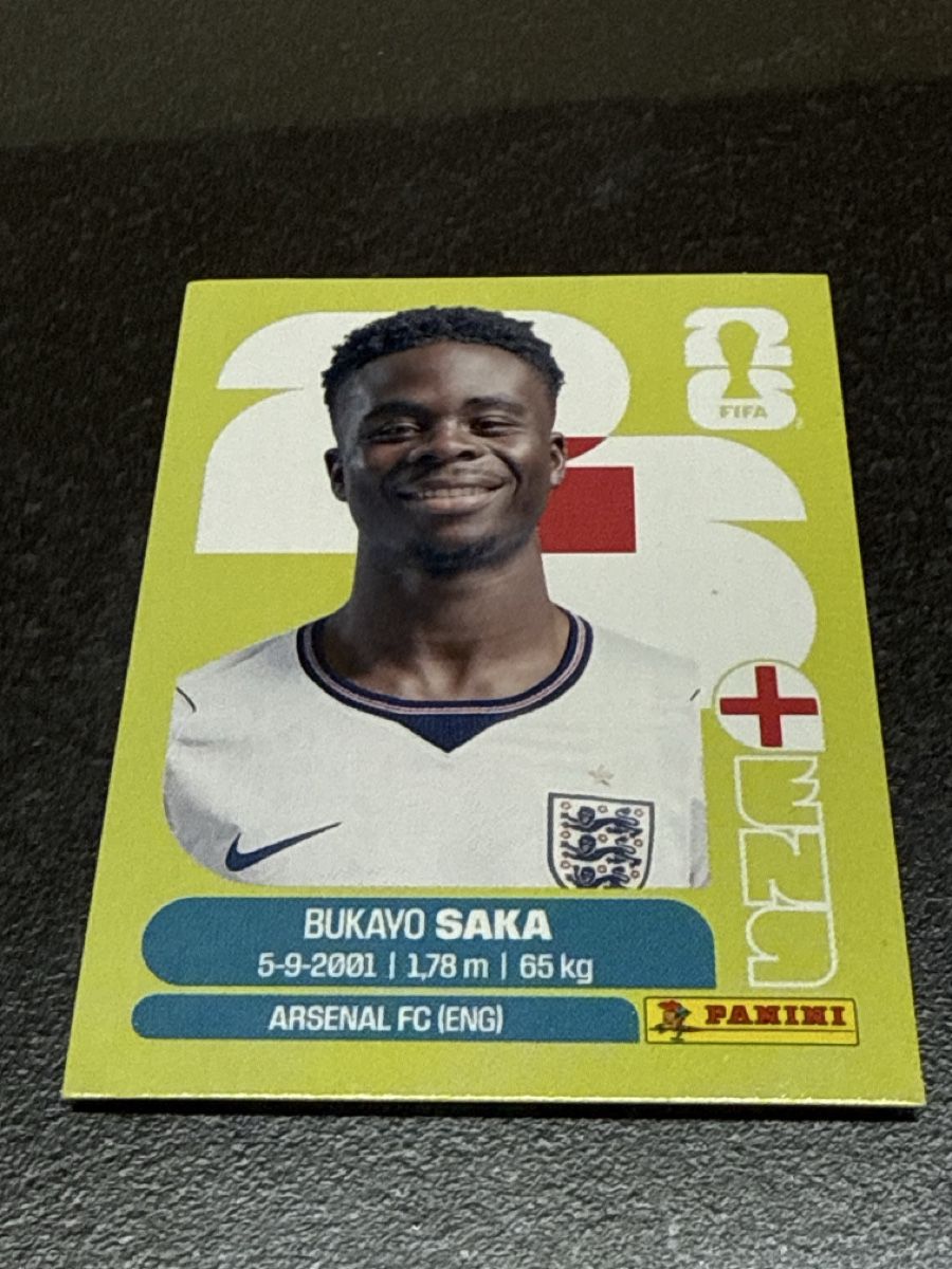 Panini Carte collezionabili: Panini FIFA WM ENG 17 – Nuovo e nell'imballaggio originale da Langwiesen venduto da xan_8pfb