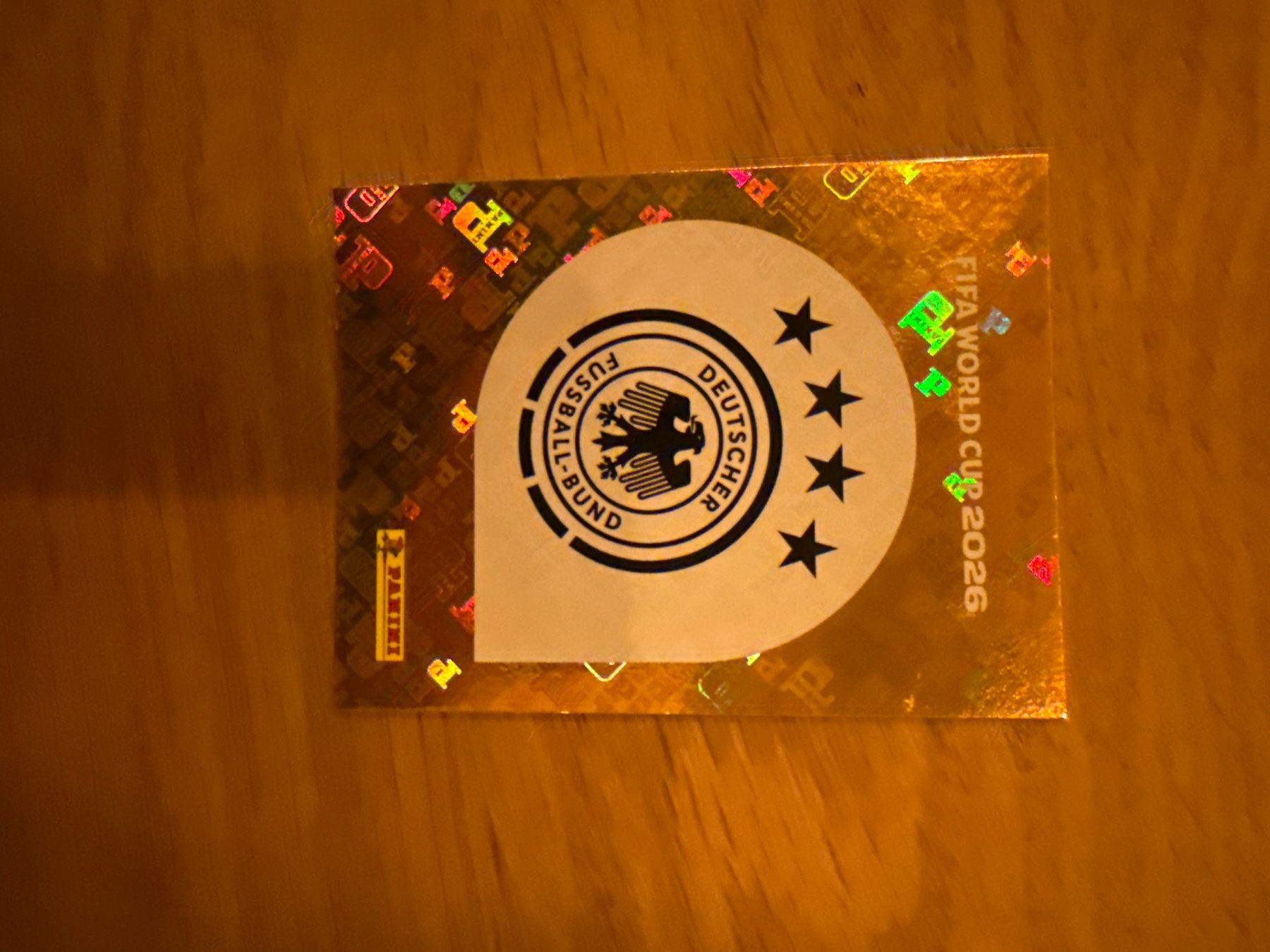 Panini Carte collezionabili: Panini – Usato da Langnau i. E. venduto da Acrjl