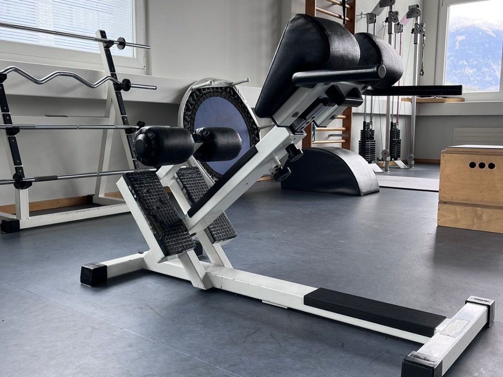 Machine étirement Dorsal TechnoGym Lower Back R.O.M. Control - Occasion Très Bon état