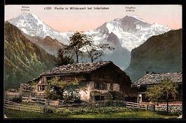 Wilderswil, Hausansicht mit Jungfrau und