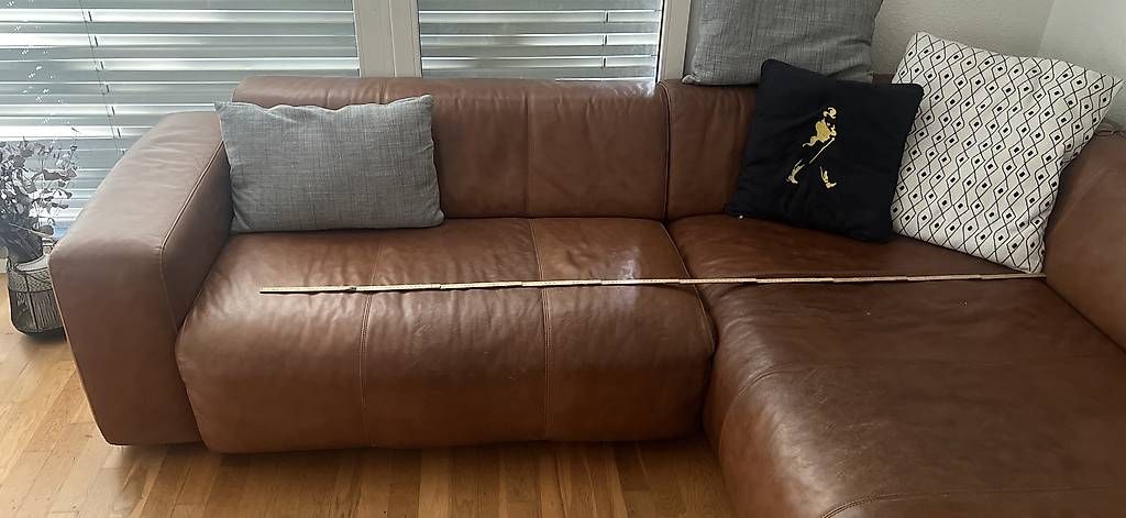 Sofas: Büffell Ledersofa – Gebraucht aus Allschwil von andreasr01020304 1