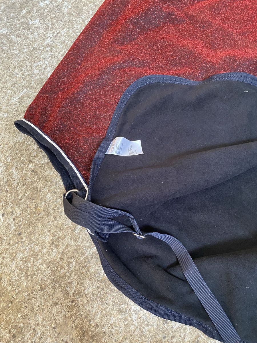 Felix Bühler Coperte & Accessori: Ponydecke – Nuovo (secondo la descrizione) da Lenggenwil venduto da ale_r8nj 1
