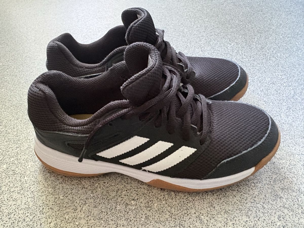 Adidas Herrenschuhe: Adidas Hallenschuhe – Neu (gemäss Beschreibung) aus Bern von SanBuser 4