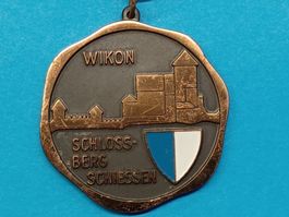 Wikon Schlossberg Schiessen  (P718)
