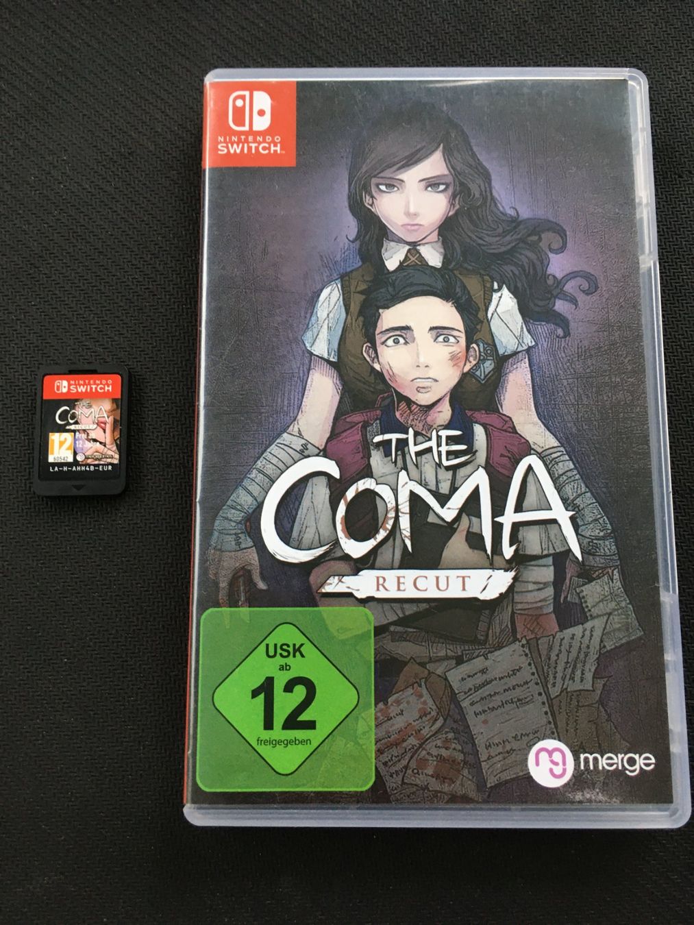 Nintendo Giochi: The Coma recut - Nintendo Switch – Usato da St.Gallen venduto da sjosjo