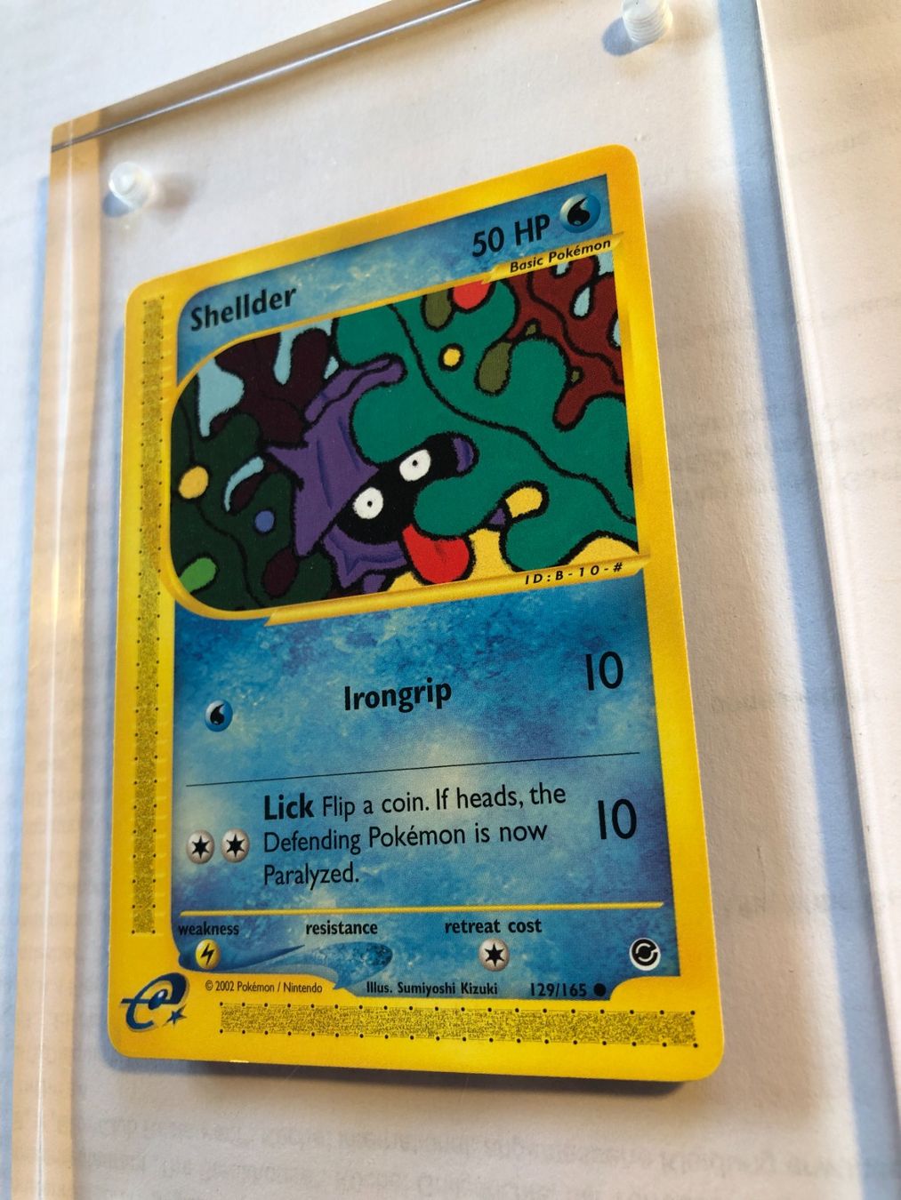 Cartes à collectionner: Shellder Expedition - MINT - ab 1.- – D'occasion à Giubiasco par dan_pr8b 2
