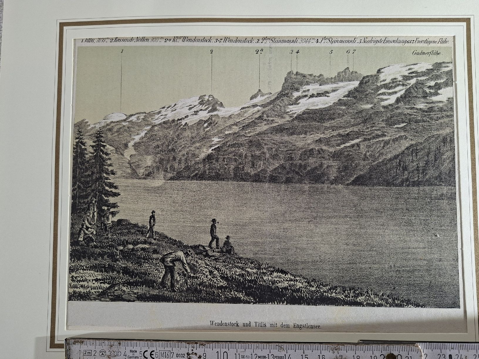 Incisioni: Lot 17 , 5 Stiche – Usato da Grindelwald venduto da carro5 9