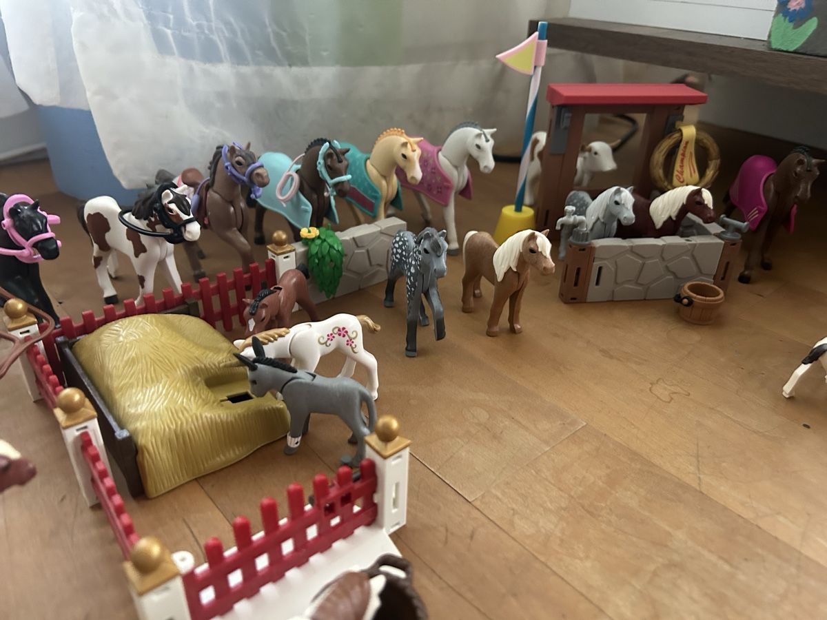 Playmobil Giocattoli: Playmobil Pferde und diverses Zubehör – Usato da Wagen venduto da Ramona01 1