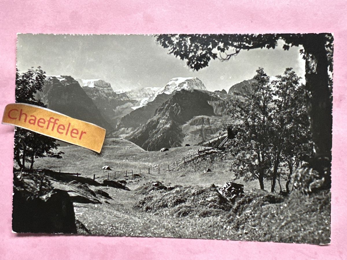 Cartoline postali: 1957 Braunwald / Glarus mit Tödi – Usato da Zürich venduto da Chaeffeler