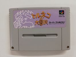 Torneco no Daibouken Fushigi no dungeon