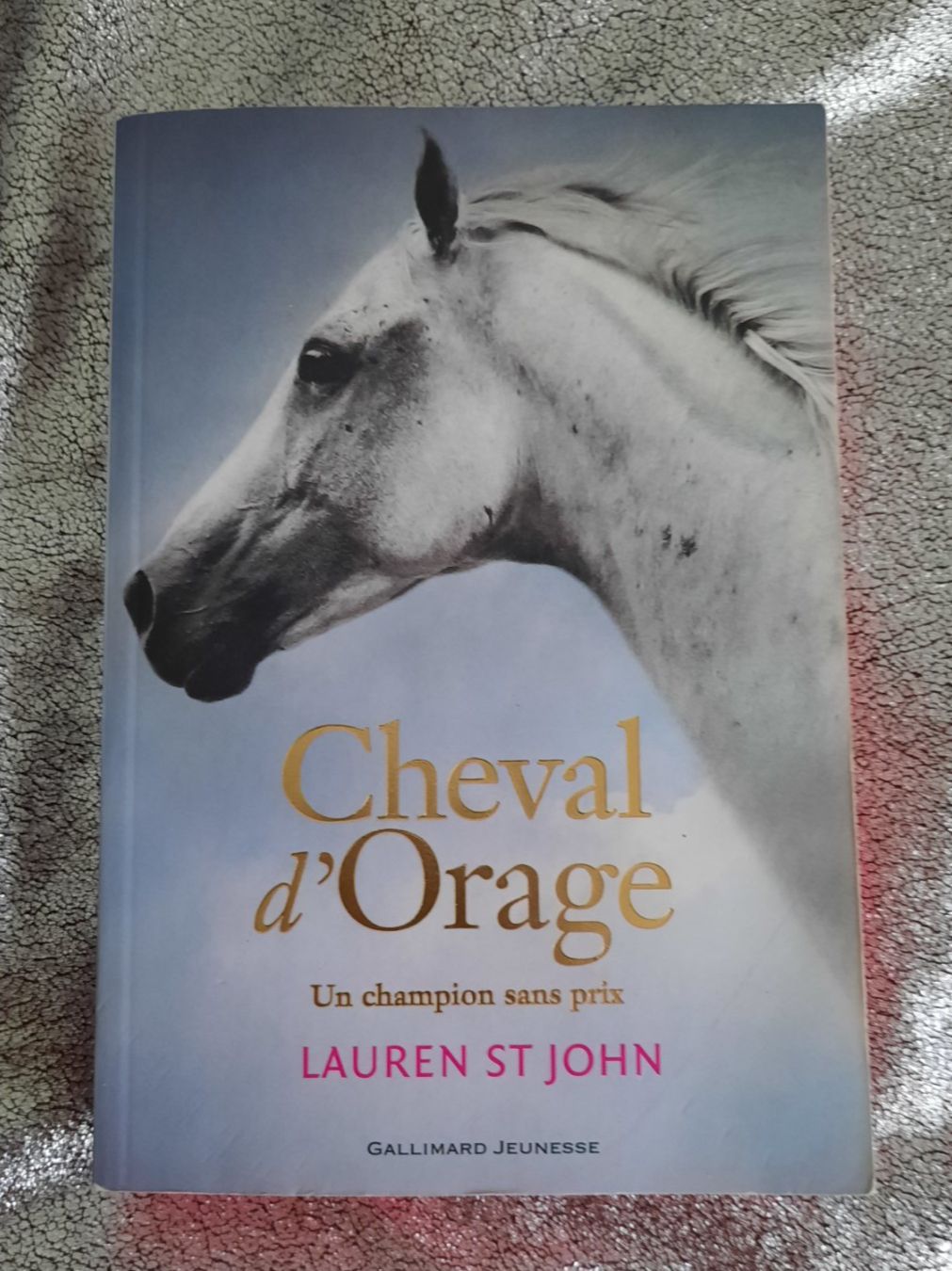 Libri: Cheval d'orage - roman de Lauren St John – Usato da Lausanne venduto da BrigitteAnne