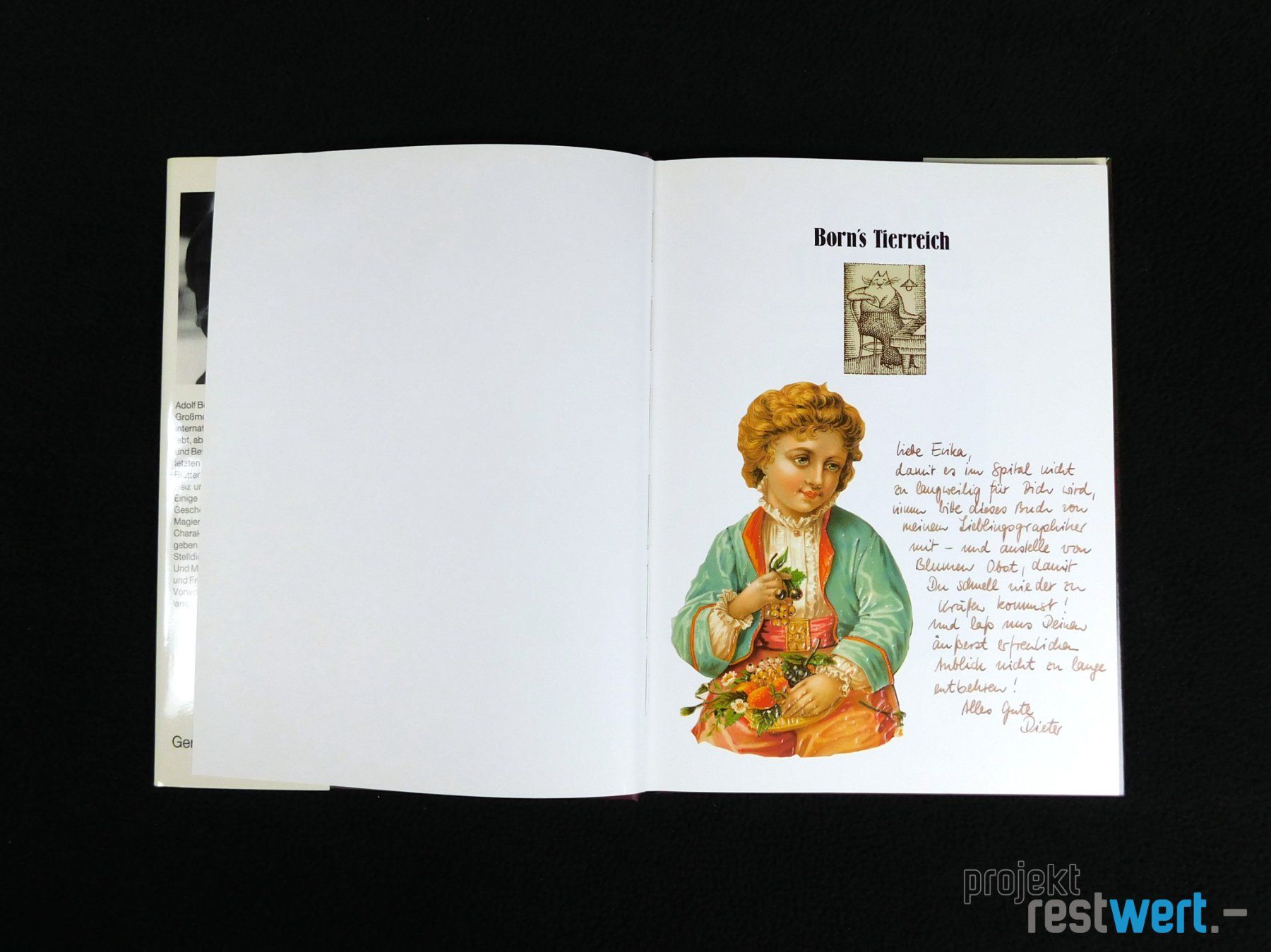 Libri: Born`s Tierreich, Buch von ADOLF BORN – Usato da Bülach venduto da restwert_buelach 3
