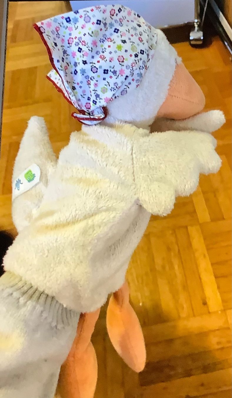 Giocattoli: Handpuppe Gans in schönem Schmuckkästchen – Usato da Diessenhofen venduto da vola123 2