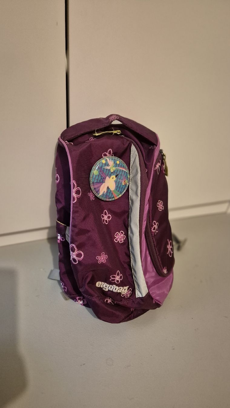 Ergobag Borse & Zaini: Ergobag Schulrucksack violett/rosa Mädchen mit Zubehör – Usato da Uttigen venduto da Mags78 1