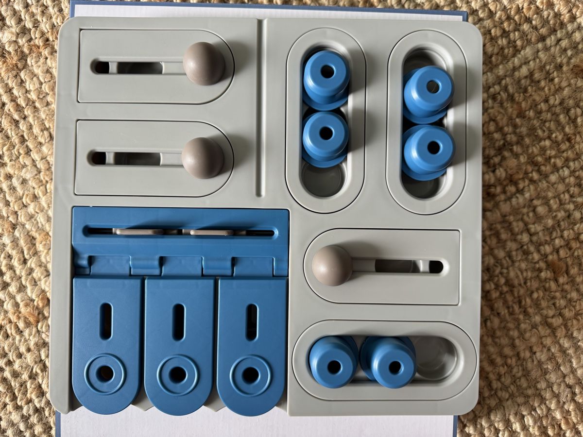 Spielzeuge: Modern Living Intelligenzspielzeug – Neu (gemäss Beschreibung) aus Jona von Moha3 1