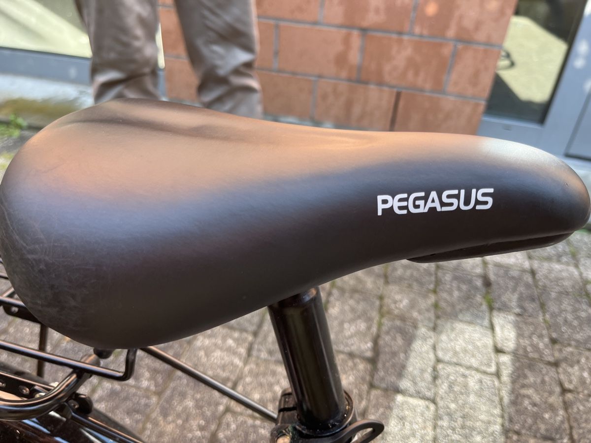 Velos: Kinder Fahrrad - Pegasus Arcona 20 – Gebraucht aus Basel von std_yrq6 5