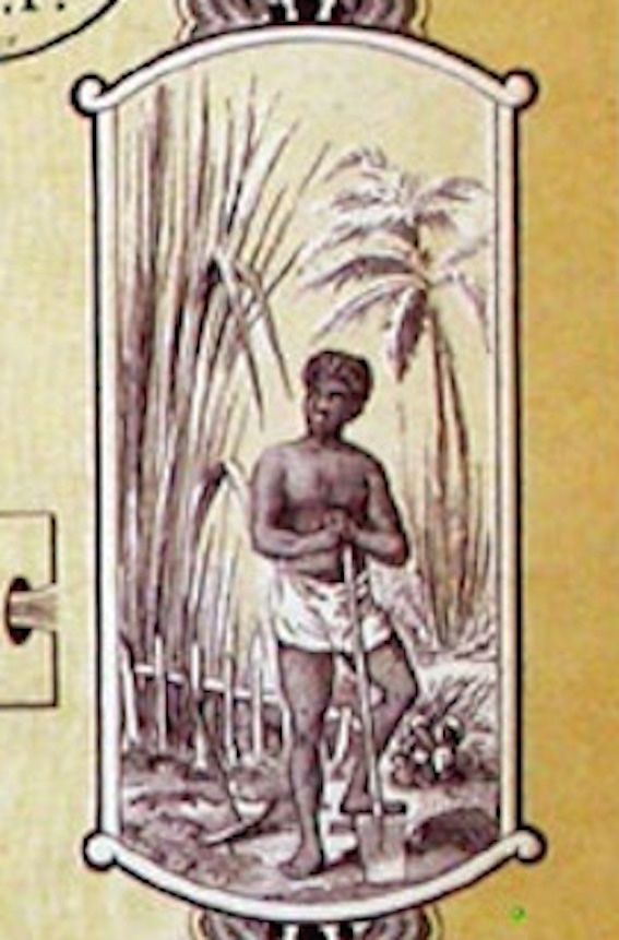 Dokumente: Plantations d'Impérie SA, Paris - 1928 – Gebraucht aus Solothurn von Sgasche 2
