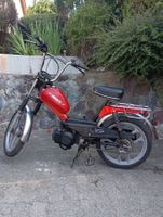 Pony frisch ab Service