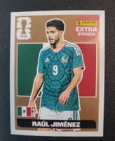 EXTRA - Panini (Raul Jimenez)