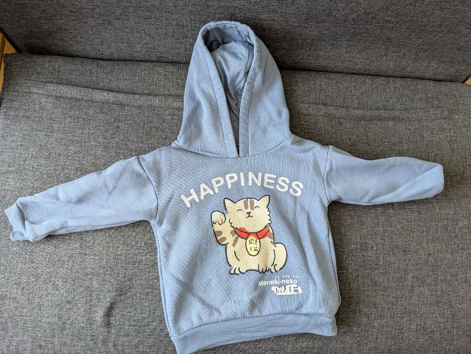 Maglioni & Felpe: Kätzchen-Sweatshirt, Grösse 92 cm – Usato da Zofingen venduto da Droni_A