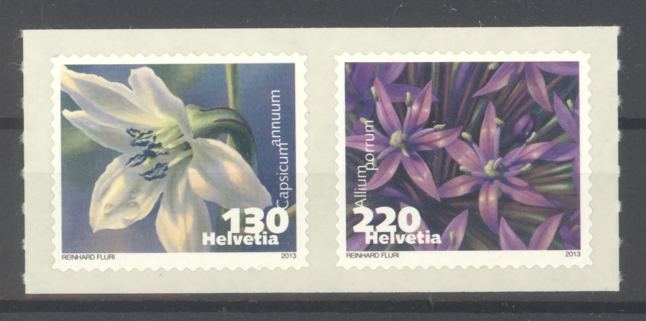 Tous les timbres: 2013, Dauermarken Gemüseblüten ** – D'occasion à Willisau par Vollstempel