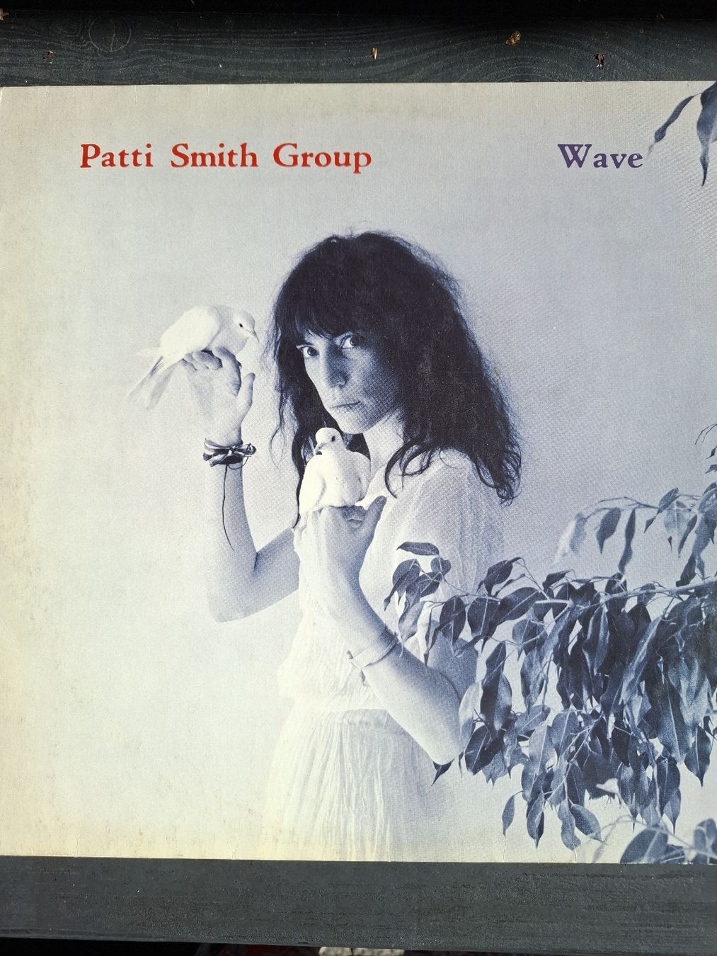 Dischi in vinile: Patti Smith Group Wave LP Vinyle Bon état – Usato da Chernex venduto da delfafine