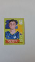 Panini WM 2026 BOSNIA BIH 9