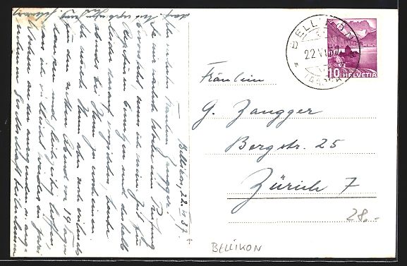 Cartoline postali: Bellikon, Gartenanlage mit Blick auf Geb – Usato da Berlin venduto da bartko-reher 1