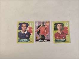 Wm panini karten Ronaldo