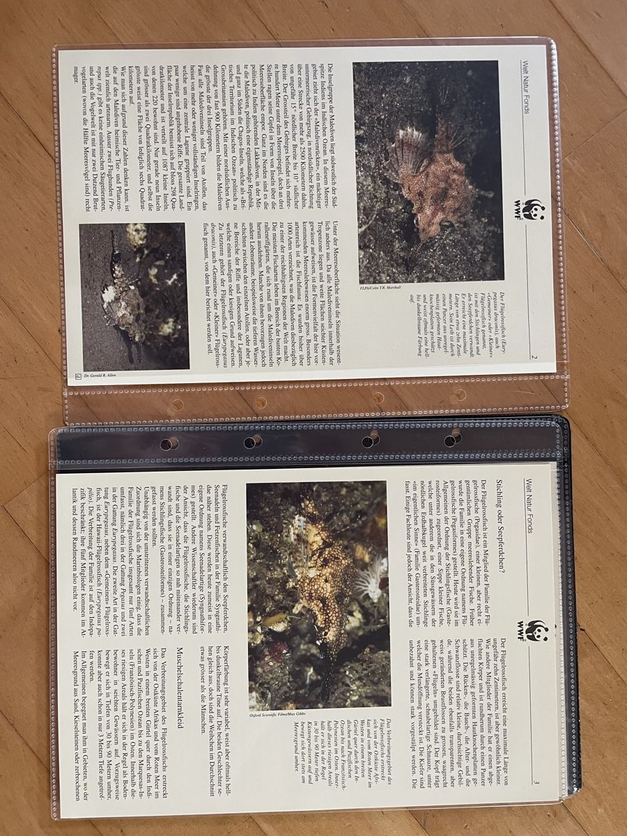Tous les timbres: WWF Set "Der Flügelrossfisch" – D'occasion à Altdorf UR par mic_z8bj 1