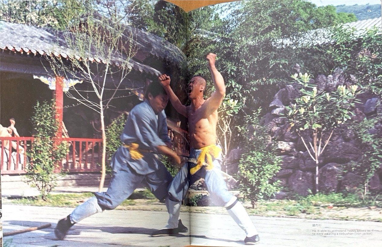 Libri: Ying Y.,  Shaolin Kungfu – Nuovo (secondo la descrizione) da Sarnen venduto da Livres 7