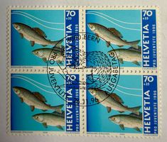 Briefmarken Pro Juventute 1996 - Ausgabetag - bloc de 4