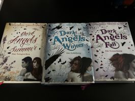 Dark Angels / Hardcover
