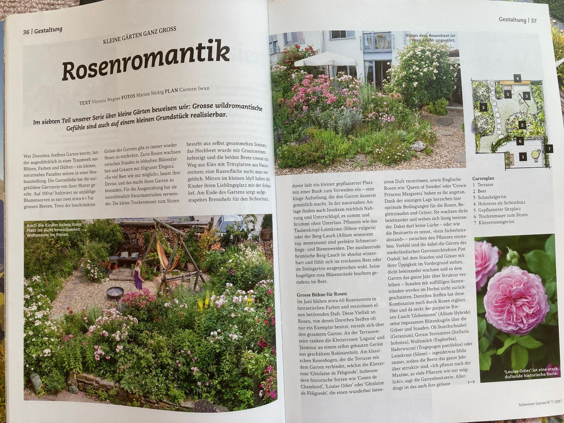 Riviste & Magazine: 17 Hefte Schweizer Garten, Jahr 2017 komplett – Usato da Lütisburg venduto da wiesenpippau 3