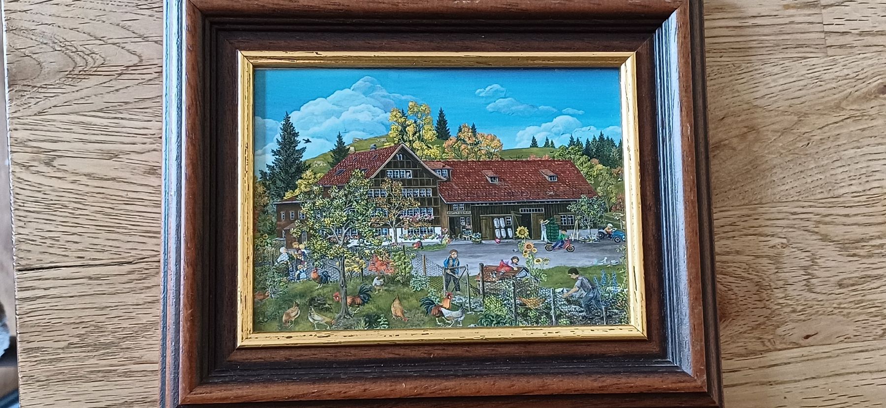 Foto & Immagini: Schönes Appenzeller Bild – Usato da Flawil venduto da Naphtali 3