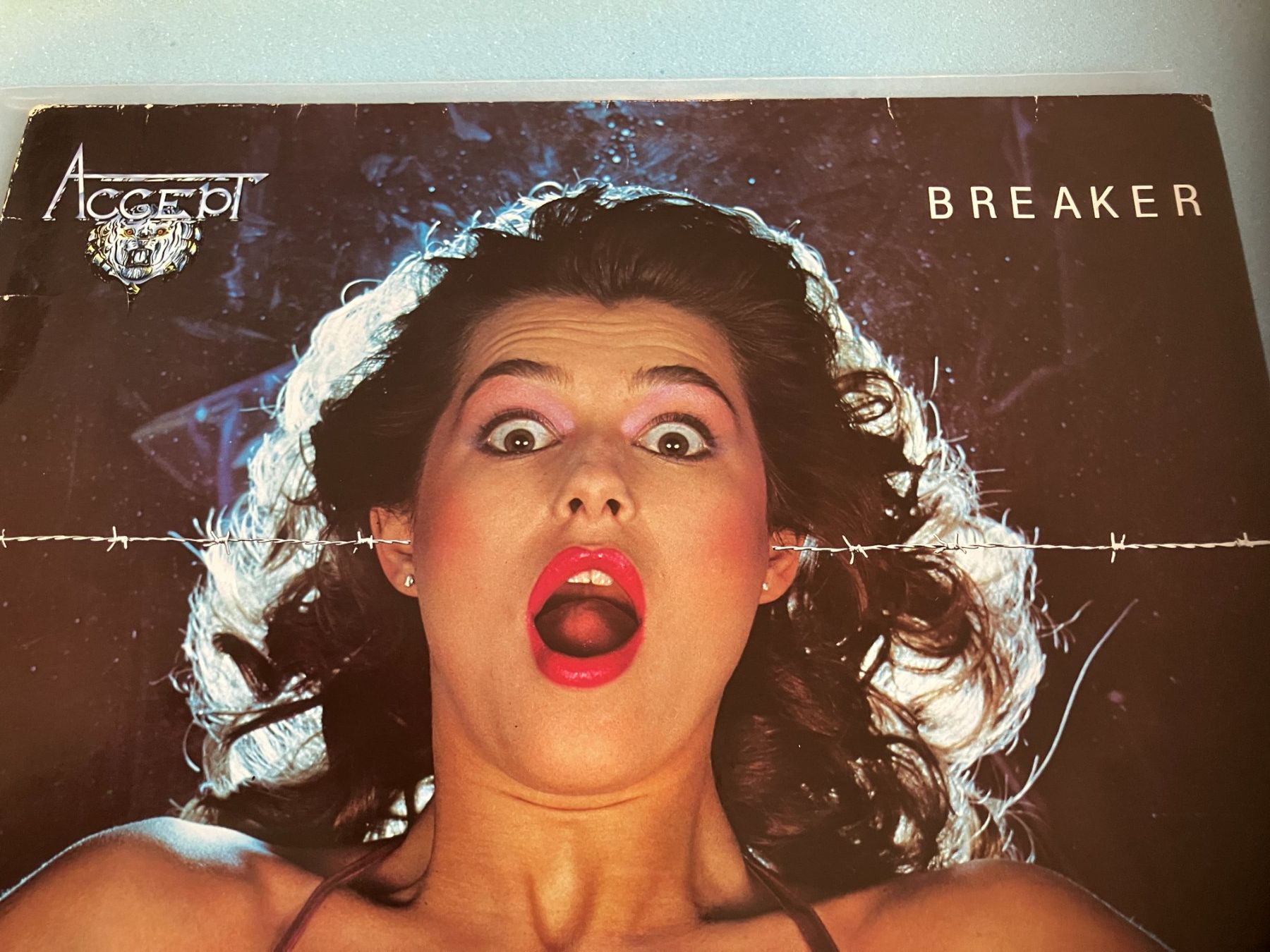 Dischi in vinile: Accept – Usato da Aarwangen venduto da Jukebox3 1