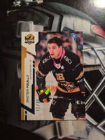 Bastien Pouilly HC Ajoie Sportzoo 2024/25 12/30