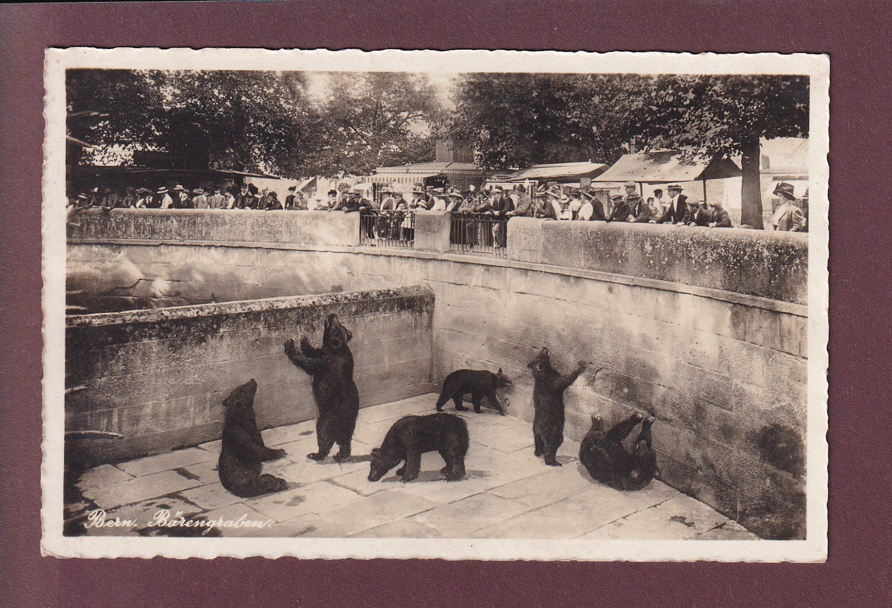 Cartoline postali: BERN - Bärengraben - 1931 – Usato da Pully venduto da nicecards