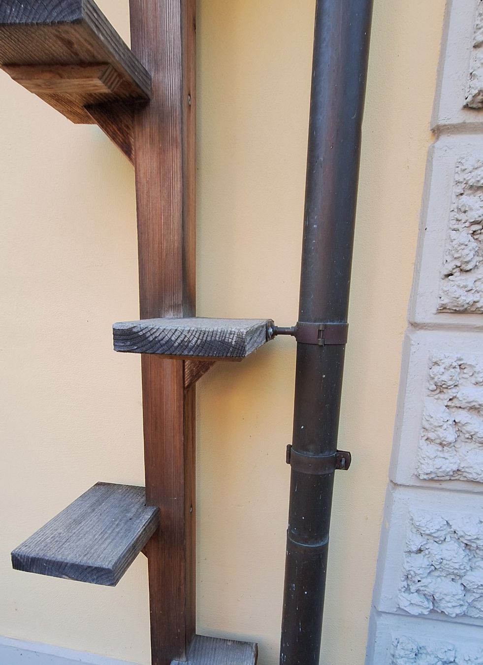 Scale: Katzenleiter 5,2 m hoch – Usato da Richterswil venduto da Rengg1 2